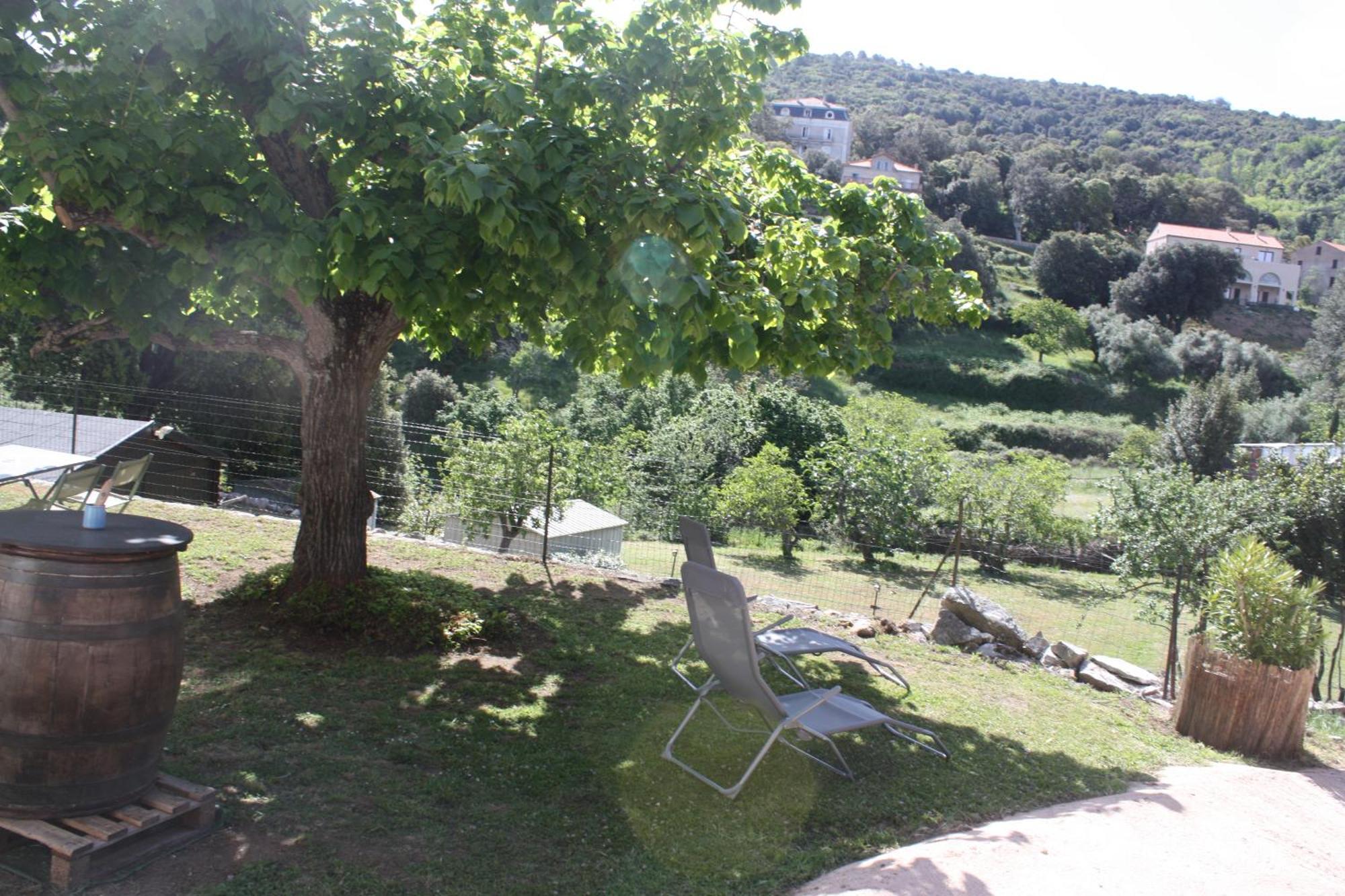 A Cardiccia Loc Saisonnieres Piana Daire Piana  Dış mekan fotoğraf